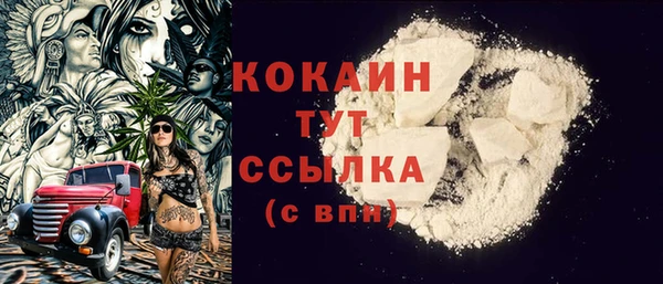 ГАЛЛЮЦИНОГЕННЫЕ ГРИБЫ Верея